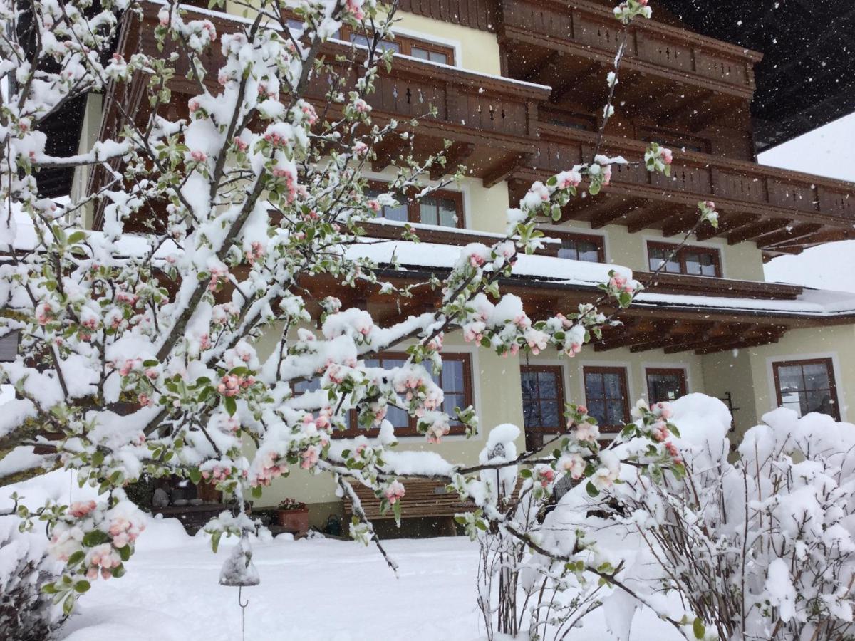 Pension Moeslehnerhof รัมเซา อัม ดาคชไตน์ ภายนอก รูปภาพ